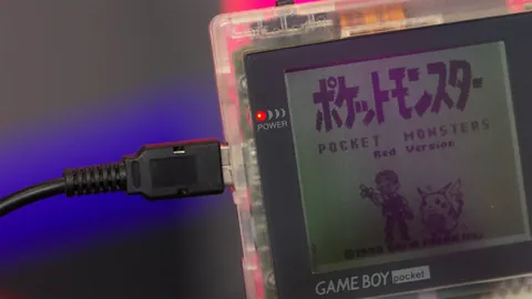 厦门环东文旅WCBA首败：开局不顺顽强战仍告负